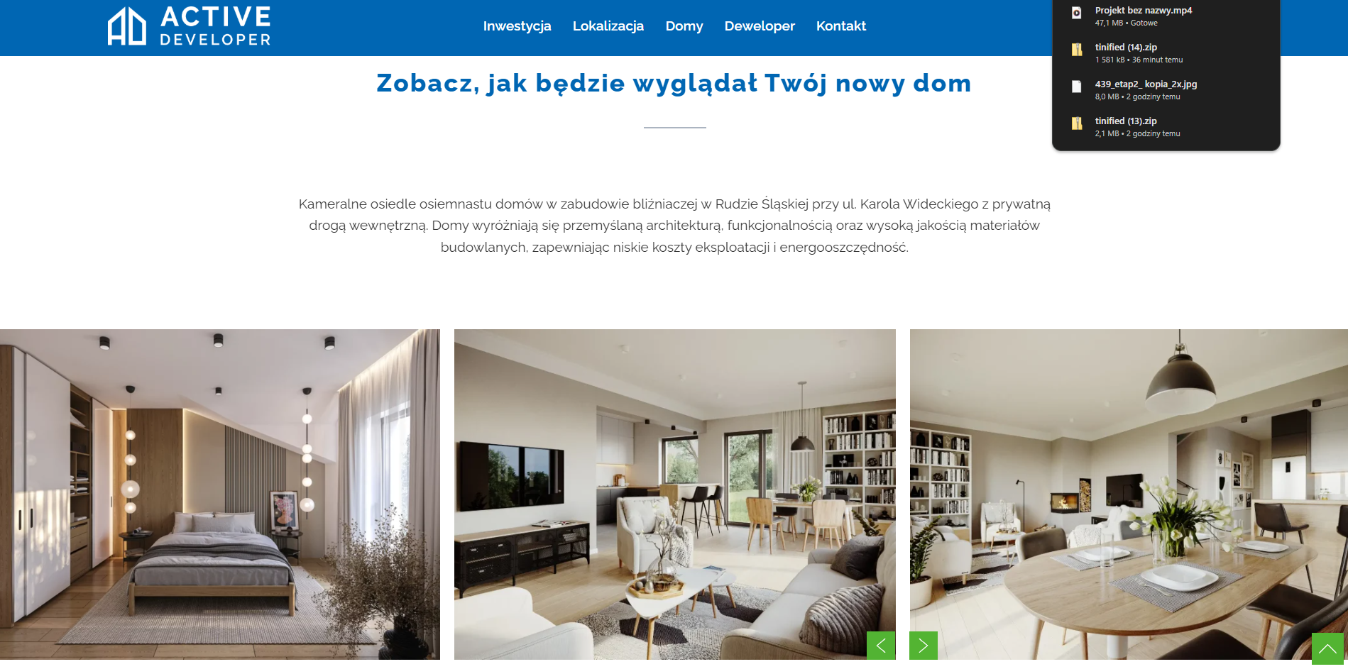 zrzut ekranu ze strony internetowej Active Developer